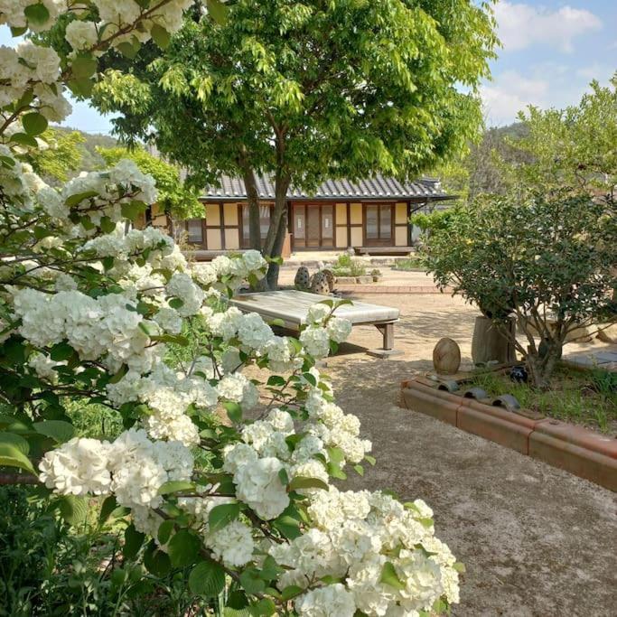 Yasun Gallery Gyeongju Dış mekan fotoğraf